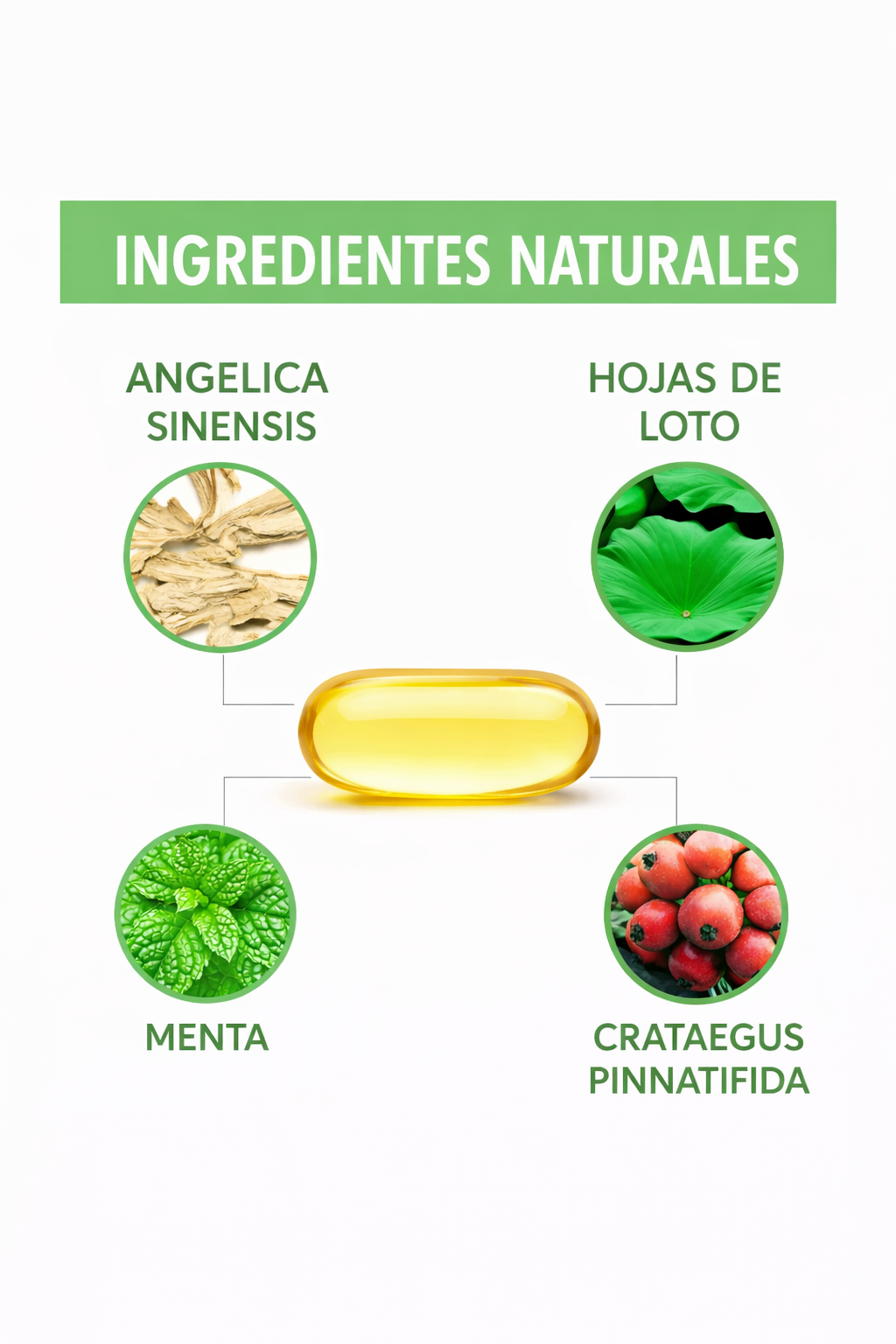 Aceite de orégano x 60 cápsulas blandas